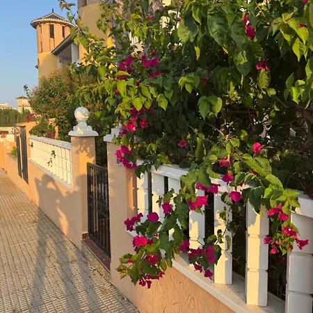 Olive Apartamento